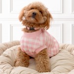 Frank Barker by Splosh Velvet Lined Pink Gingham Checks Dog Coat | Three Sizes